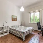 Rent 3 bedroom apartment in Bologna