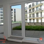 Rent 1 bedroom apartment in Plzeň