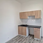 Rent 1 bedroom apartment in Ostrava