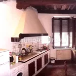 Rent 1 bedroom apartment of 45 m² in Florence