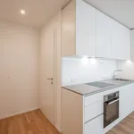 Rent 2 bedroom apartment of 45 m² in Vienna