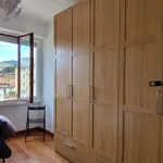 Rent 2 bedroom apartment of 80 m² in Firenze