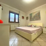 Rent 2 bedroom apartment of 55 m² in Velletri