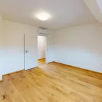 Rent 1 bedroom house of 210 m² in Brno