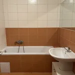 Pronájem bytu 1+kk 55m²