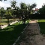 Rent 1 bedroom house of 80 m² in Αχαΐα