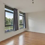 Rent 6 bedroom house of 157 m² in Den Haag