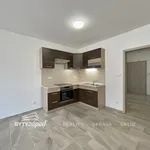 Rent 2 bedroom apartment of 59 m² in Přeštice