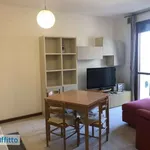 Rent 2 bedroom apartment of 50 m² in Florence