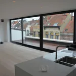 Rent 2 bedroom apartment in Schaerbeek