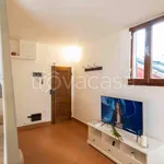 Rent 4 bedroom apartment of 53 m² in Firenze