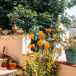 Rent 1 bedroom apartment in Guanajuato