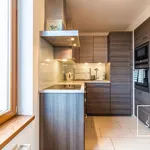 Rent 3 bedroom apartment in Capital City of Prague