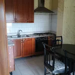 Rent 3 bedroom apartment of 75 m² in Tortora