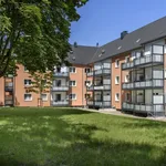 Rent 2 bedroom apartment of 58 m² in Essen