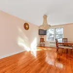 Rent 1 bedroom apartment in NY