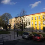 Rent 1 bedroom apartment of 33 m² in Lisbon