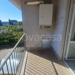 Rent 3 bedroom apartment of 110 m² in Roma