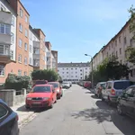 Rent 1 bedroom apartment of 32 m² in Chemnitz