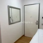 Rent 2 bedroom apartment of 50 m² in Turin