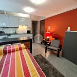 Rent 1 bedroom apartment of 35 m² in San Benigno Canavese