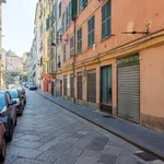 Rent 3 bedroom apartment of 90 m² in Genoa