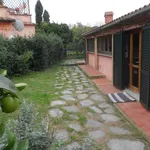 Rent 2 bedroom house of 50 m² in Livorno