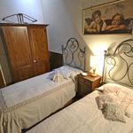 Rent 3 bedroom apartment of 100 m² in Cortona