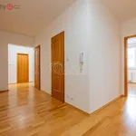 Rent 4 bedroom apartment of 102 m² in Praha