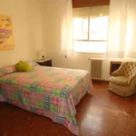 Rent a room in cordoba