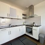 Rent 3 bedroom apartment of 90 m² in Vogelenbuurt