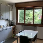 Rent 2 bedroom apartment of 53 m² in Noventa Padovana