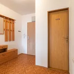 Rent 1 bedroom apartment of 54 m² in Příchovice