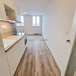 Rent 1 bedroom apartment of 43 m² in Brno