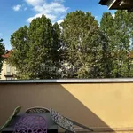 Rent 3 bedroom apartment of 100 m² in Turin