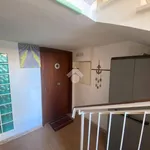 Rent 2 bedroom apartment of 55 m² in Terracina