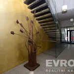 Rent 2 bedroom apartment of 1 m² in Capital City of Prague