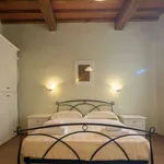 Rent 1 bedroom apartment of 65 m² in florence