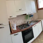 Rent 4 bedroom apartment of 110 m² in Pisa