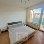 Rent 2 bedroom apartment in Praha 5