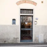 Rent 1 bedroom apartment in Florence