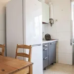 Rent a room of 110 m² in rome