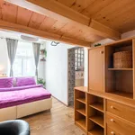 Pronajměte si 1 ložnic/e byt o rozloze 45 m² v Prague