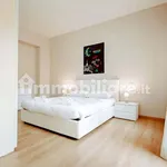 Rent 1 bedroom apartment of 40 m² in Turin