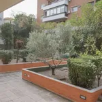 Rent a room in madrid