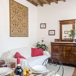 Rent 1 bedroom apartment of 50 m² in rome