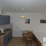 Miete 1 Schlafzimmer wohnung von 42 m² in Nuremberg