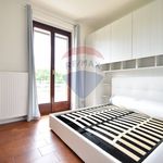 Appartamento in Affitto Castelletto sopra Ticino 39751012-77 | RE/MAX Italia