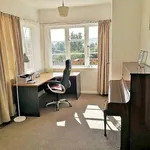 Rent 3 bedroom house in Dunedin