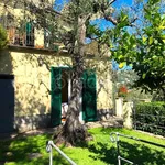 Rent 2 bedroom house of 50 m² in Santa Margherita Ligure